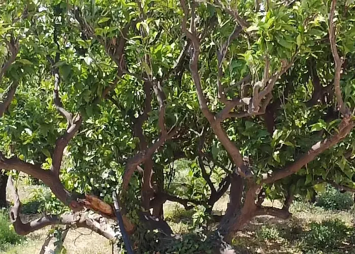 Casale Cirico Tra Catania E Siracusa 3* Carlentini