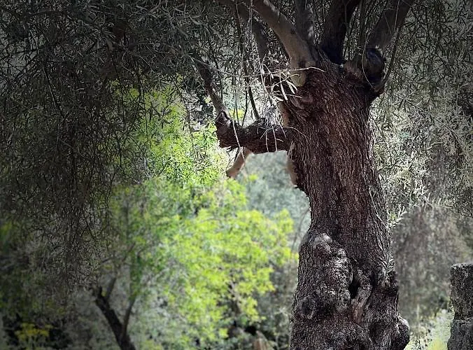 Pensjonat Casale Cirico Tra Catania E Siracusa Carlentini